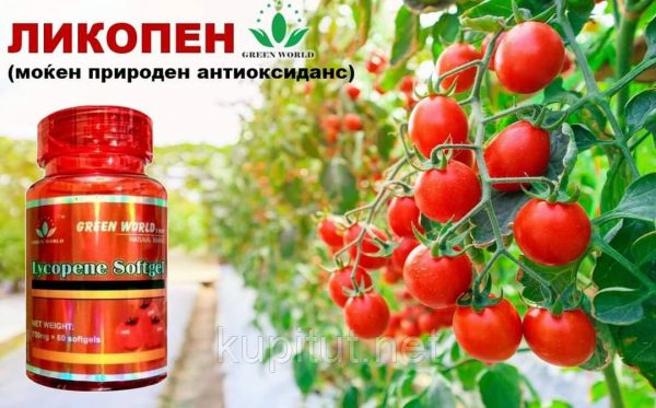 Ликопин капсулы для простаты Грин Ворлд 