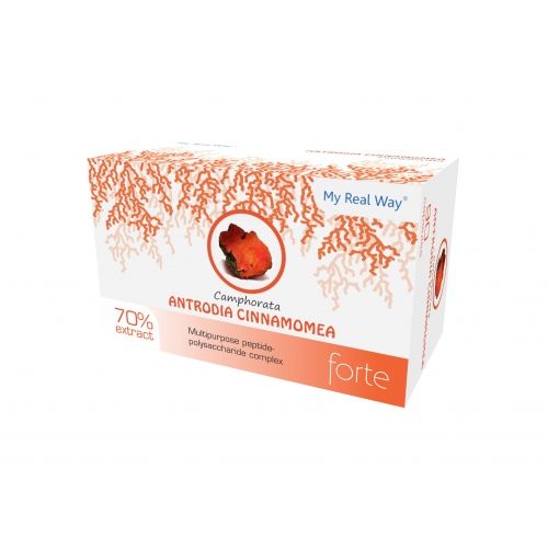 Экстракт гриба Антродия камфорная (Antrodia Camphorata) 70%, пептид-полисахаридный комплекс